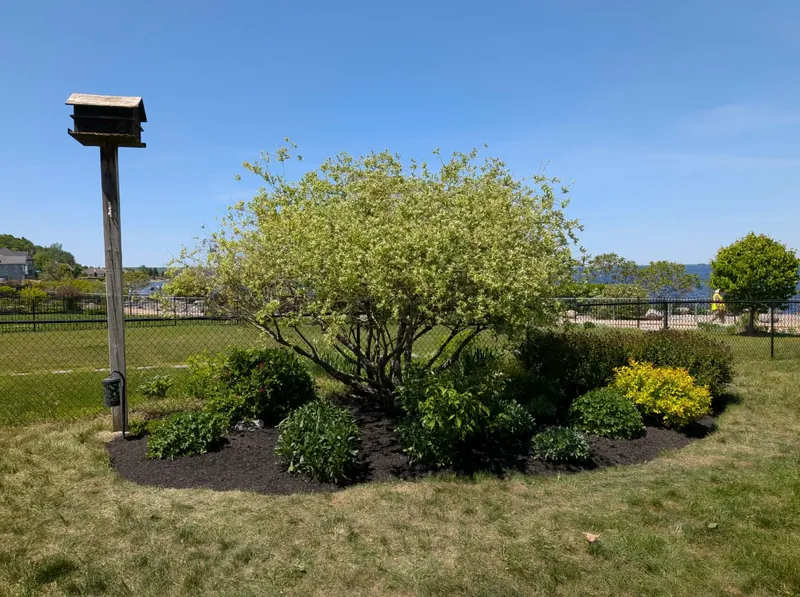 Garden bed with birdhouse after a spring garden bed cleanup by True North